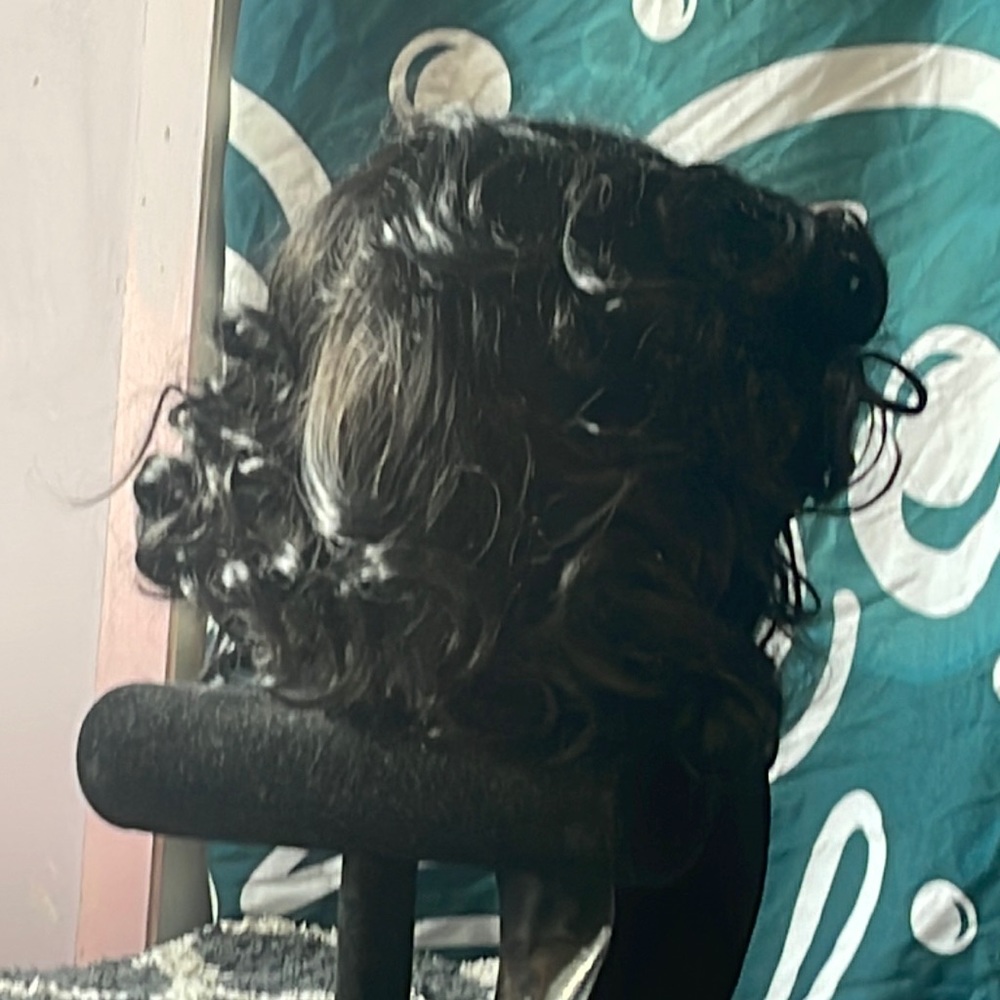 Short wig 8 inches